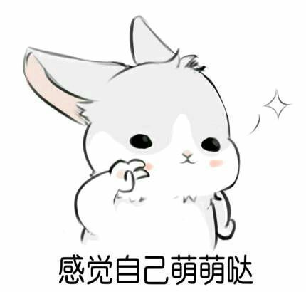 ugSs9SwcSYos2599.jpg