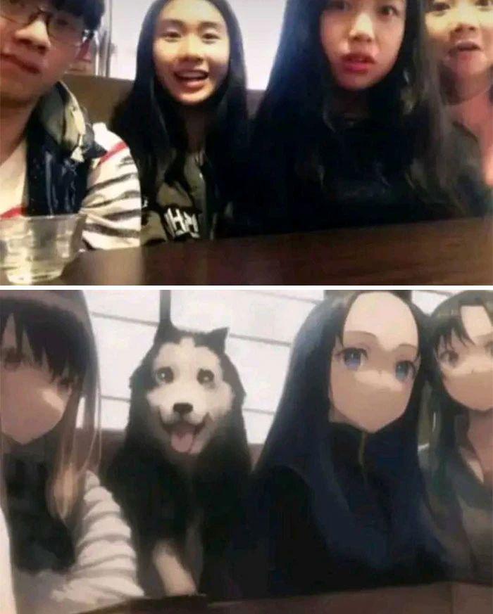 MEpgiPYdYKpGdinz.jpg