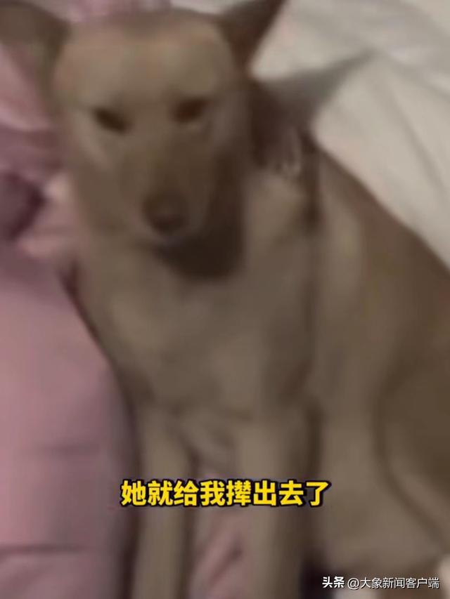 e020syTs2XTx0Cc0.jpg