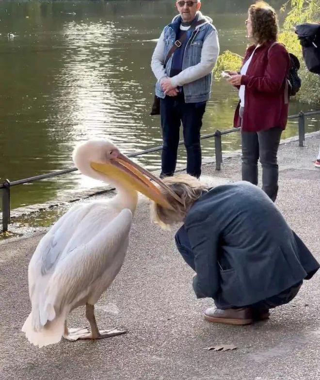 GYKnNYRngenynr90.jpg