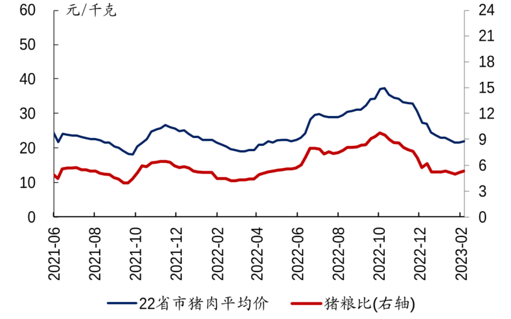 nZD94Lf2YEy0kadk.jpg