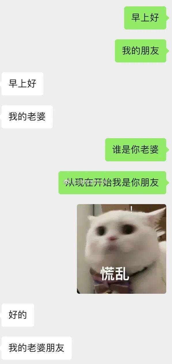 zO1neA311PZVc1I0.jpg