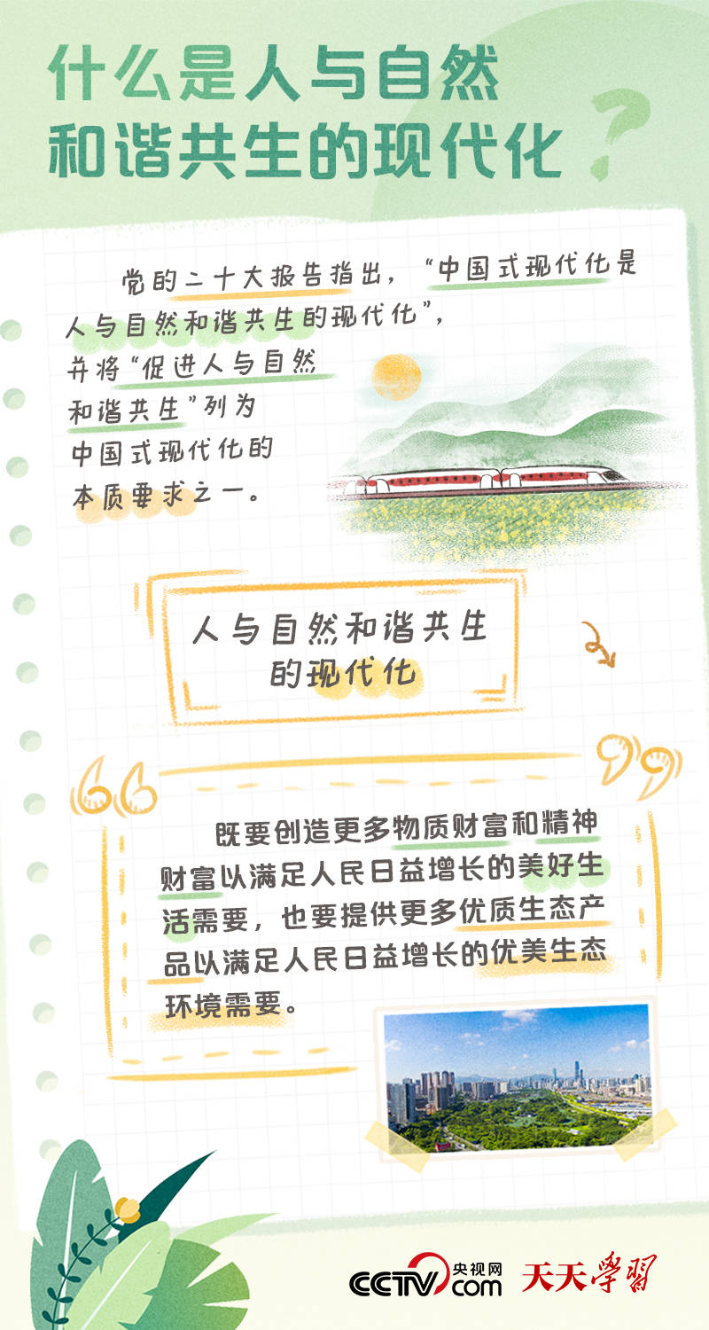 cBT3LMD3dL0d1021.jpg