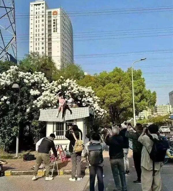 KU7epKmkHJkPR8jR.jpg